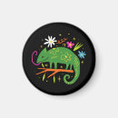Search for quirky magnets Cartoon
