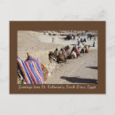 Search for camels postcards Animals