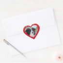 Search for border collie dog stickers Pet