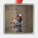 Search for central park christmas tree decorations Nature