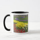Search for hyacinth flower mugs Pattern