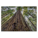 Search for park chopping boards California