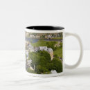 Search for quebec canada mugs City