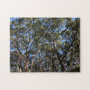 Search for canopy photography Leaves