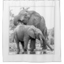 Search for elephants shower curtains Pachyderm