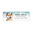 Search for akitas return address labels Dog
