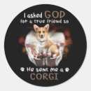 Search for cardigan corgi stickers Pet