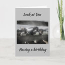 Search for funny nieces birthday cards Friend