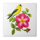 Search for wild rose tiles Wildlife