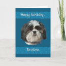 Search for a brother dog birthday birthday cards Pet