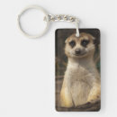 Search for meerkat key rings Zoo