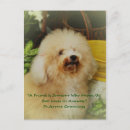 Search for mousepads postcards Dog