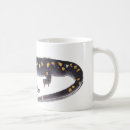 Search for salamander mugs Nature