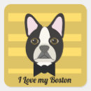 Search for boston terrier stickers French bulldog
