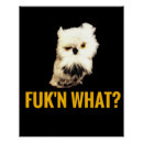 Search for funny owl posters Humor