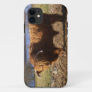 Search for highland cattle iphone cases Bull