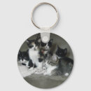 Search for calico round key rings Animals