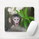 Search for cutest mousepads Japanese macaque