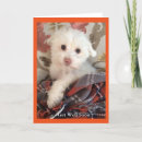 Search for havanese dog cards Friendship