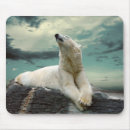 Search for aggressive mousepads Background