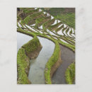 Search for floods postcards Landscape