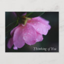 Search for thinking photography Botanical