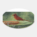 Search for cardinal stickers Birds
