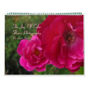 Search for joy photography Flower