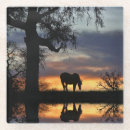 Search for horse coasters Nature