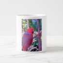 Search for parrot mugs Birds