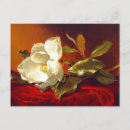 Search for velvet postcards Still life