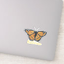 Search for wing cases For kids