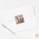 Search for ring tailed lemur stickers Wild animals
