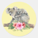 Search for koala bears stickers Wild animal