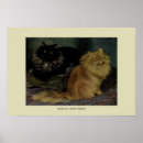 Search for vintage cat posters Kitten