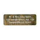 Search for tortoise return address labels Nature