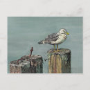 Search for saltwater postcards Sea