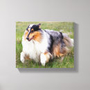 Search for collie art Lassie