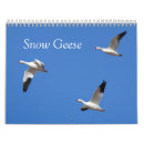 Search for migrate office supplies Geese