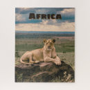 Search for lion puzzles Africa