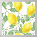 Search for lemon decor posters Fruit