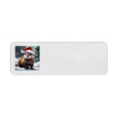 Search for otter return address labels Wildlife