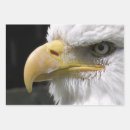 Search for eagle wrapping paper Birds
