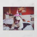 Search for getty postcards Bulldogs