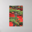 Search for bonsai tree posters Buddhism