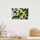 Search for frangipani art Yellow