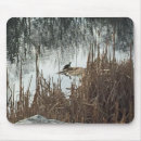 Search for turtle mousepads Wildlife