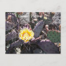 Search for cactus postcards Desert