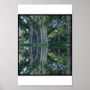 Search for banyan posters Nature