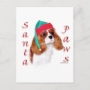 Search for blenheim cards Animals